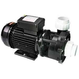 LX WP250-II pump dual speed 2.5HP